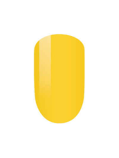 Perfect Match pms64– Golden Boy-Friend